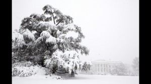 White House Photo, 2010