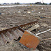 Tsunami damage